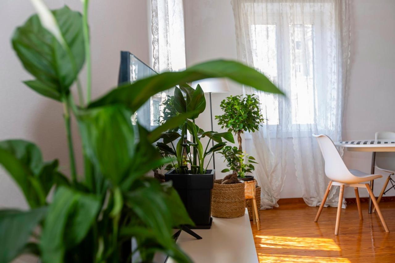 Artist Loft Apartment *